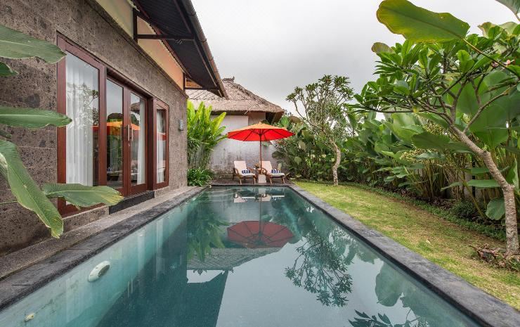 Photo of Outdoor in Taro