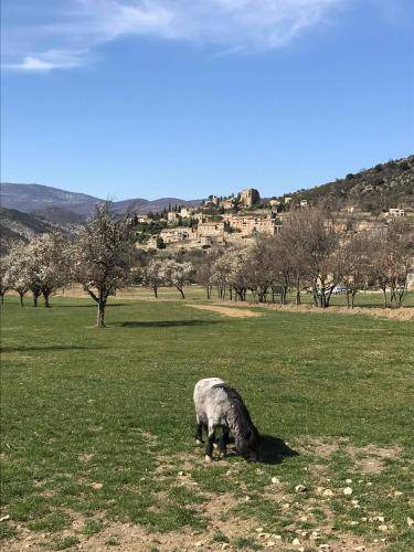 Photo of Others in Montbrun-les-Bains