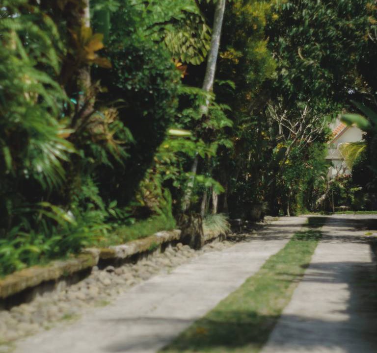Photo of Others in Ubud City-Centre