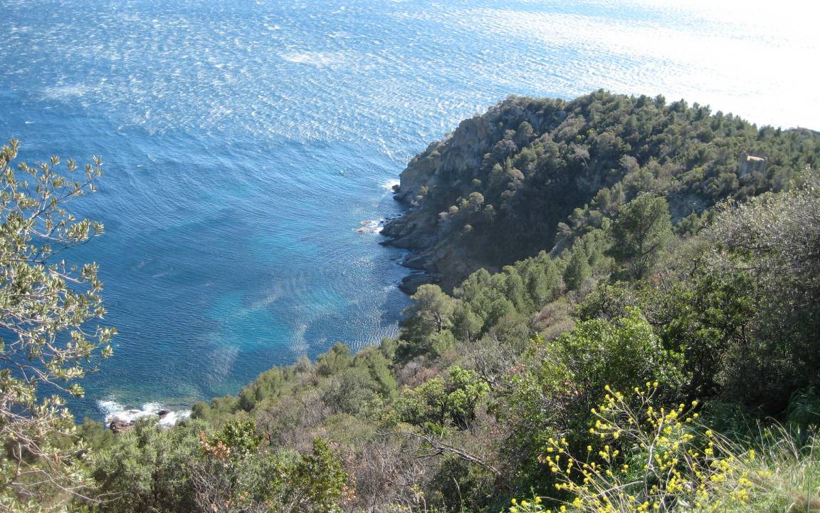 Photo of Others in Cavaliere