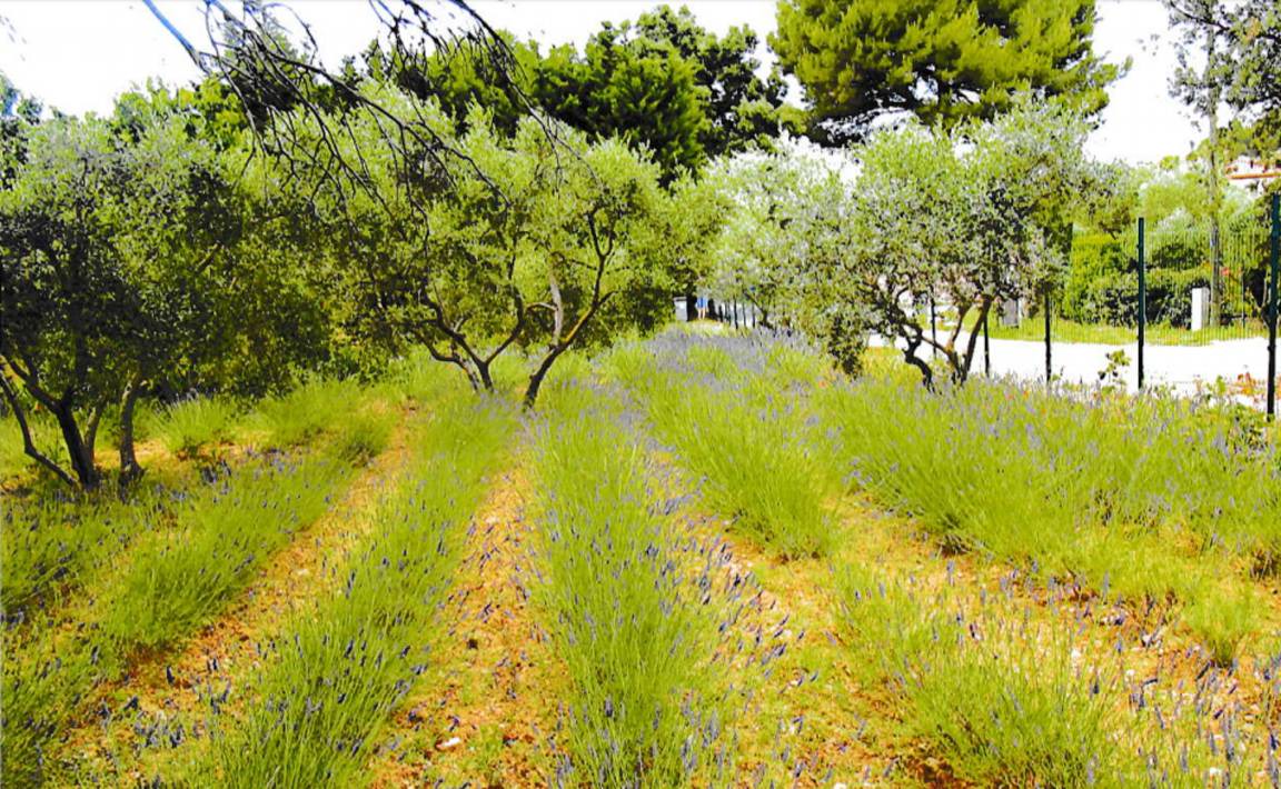 Photo of Outdoor in Lancon-Provence