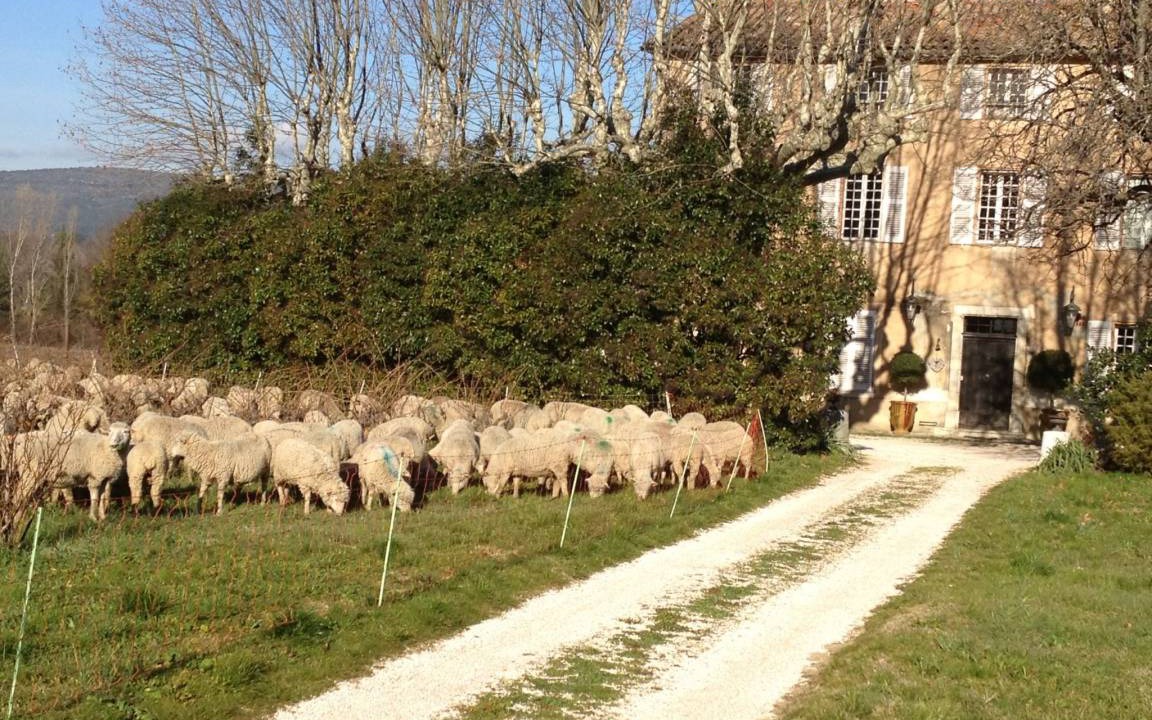 Photo of Others in Brignoles
