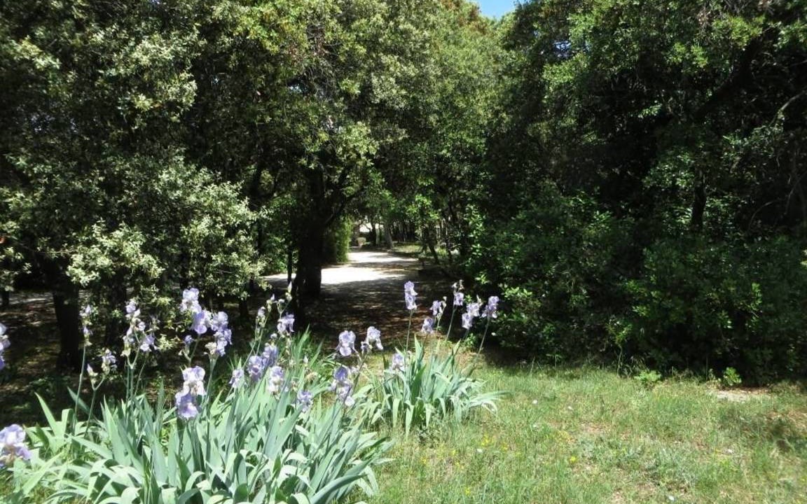 Photo of Outdoor in Orange
