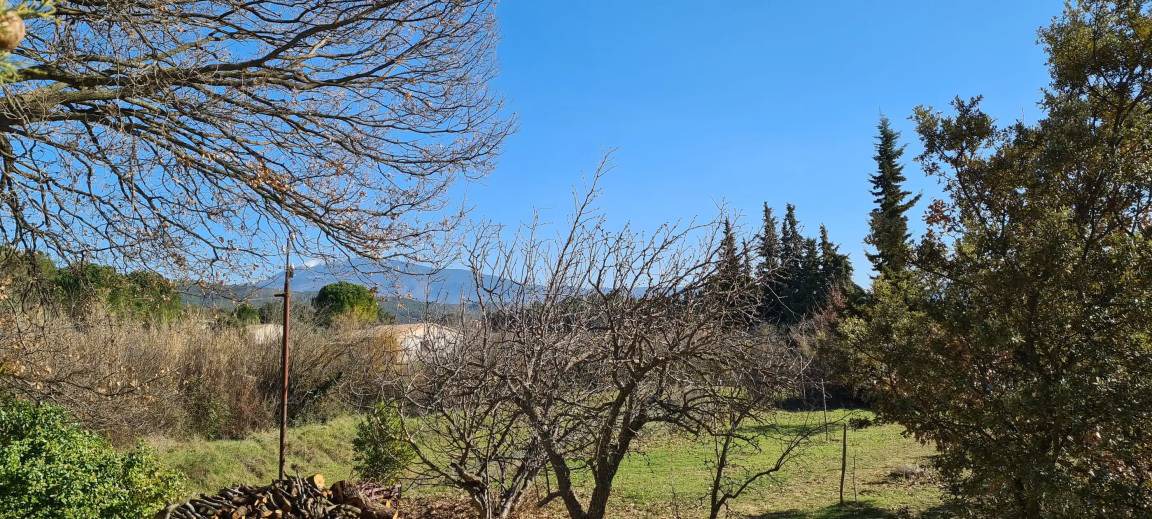 Photo of Others in Vaison-la-Romaine