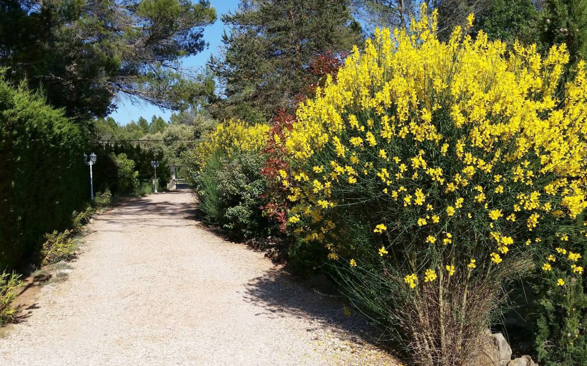 Photo of Outdoor in Moissac-Bellevue