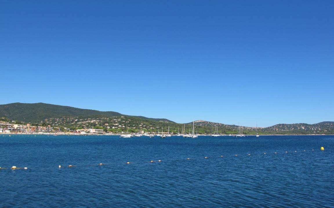 Photo of Others in Cavaliere