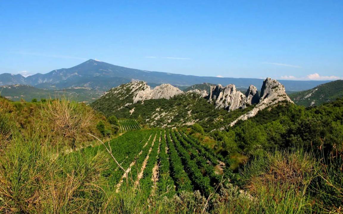 Photo of Others in Gigondas
