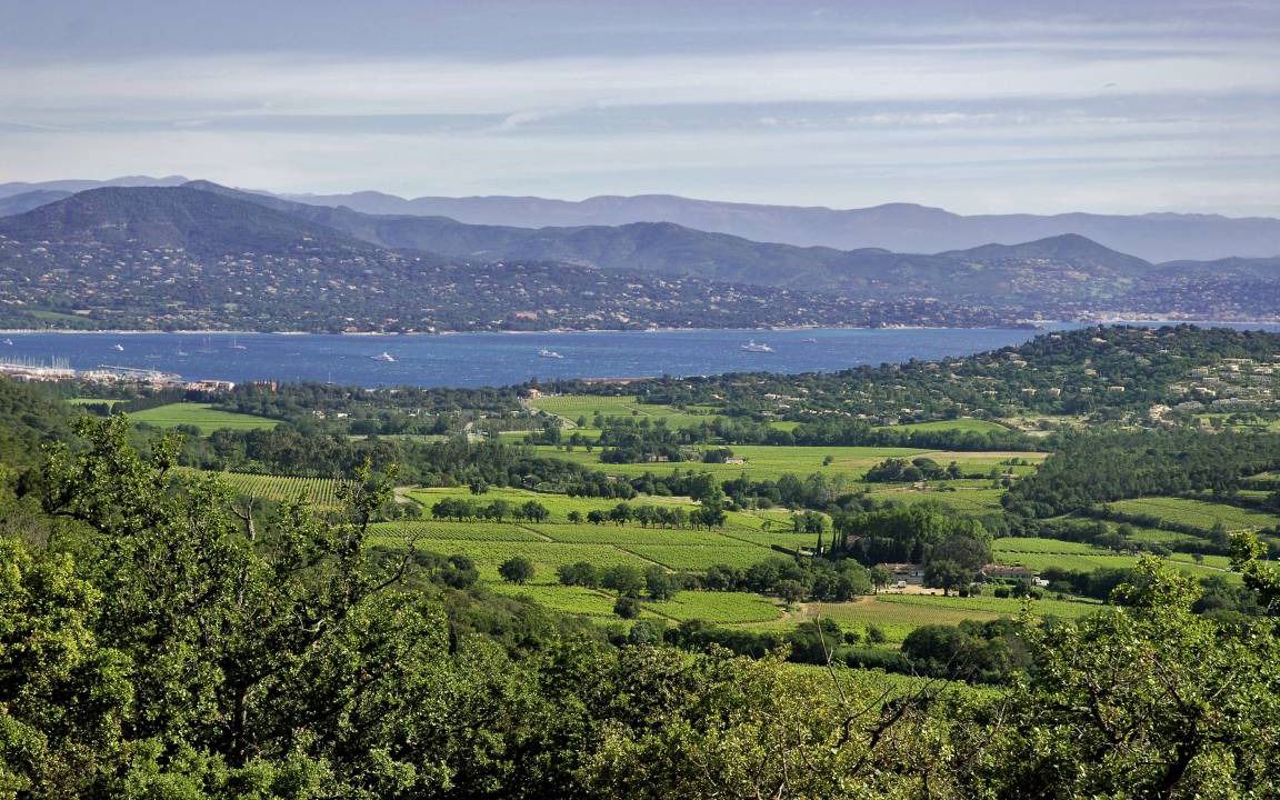 Photo of Others in Cote d'Azur- French Riviera