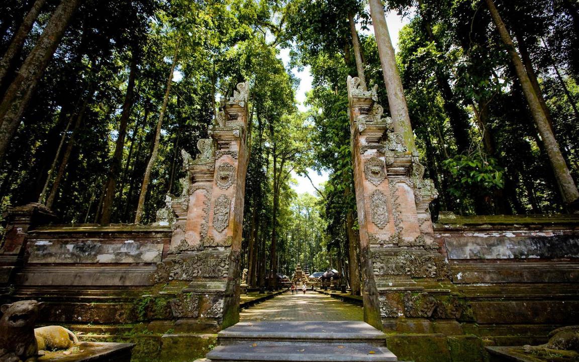 Photo of Others in Ubud City-Centre