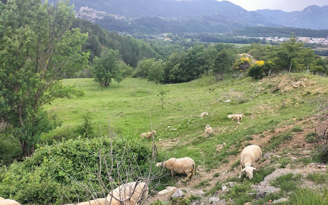 Photo of Others in Sisteron