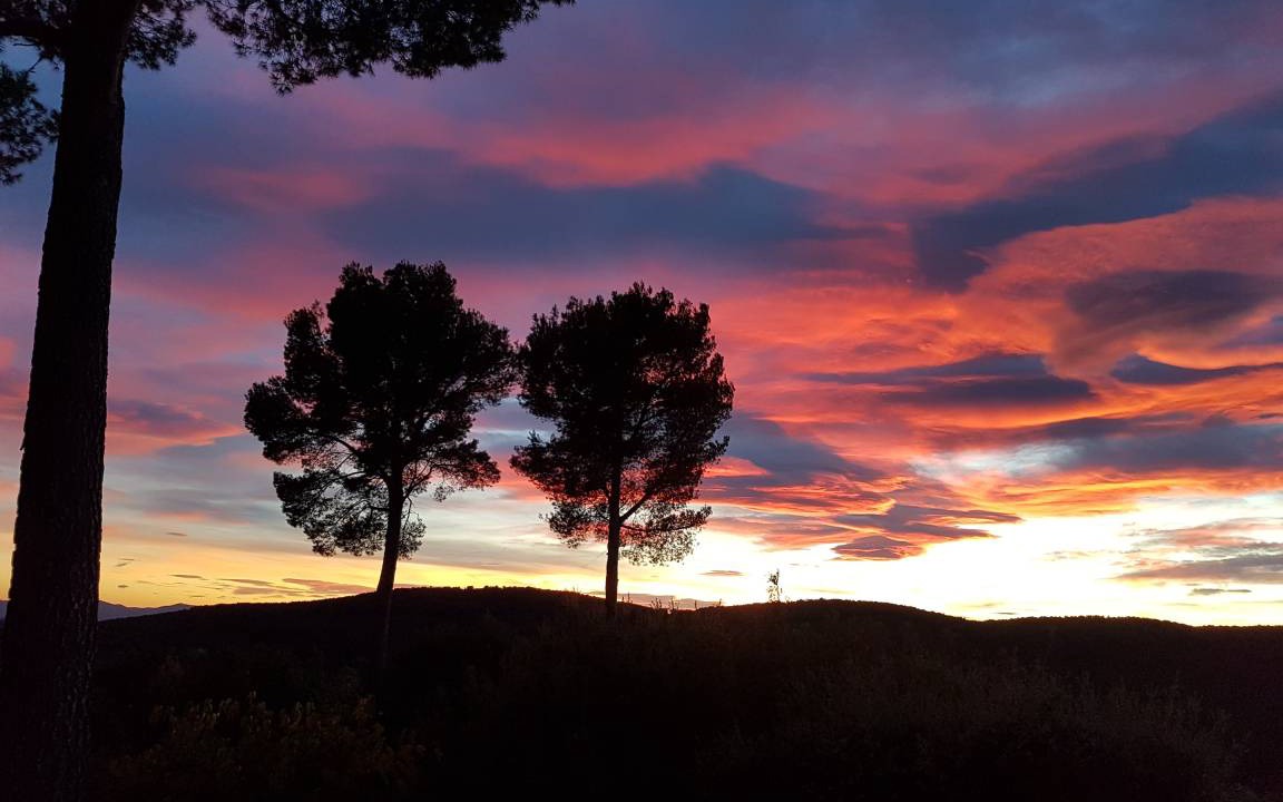 Photo of Others in Draguignan