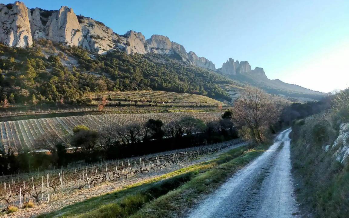 Photo of Others in Gigondas
