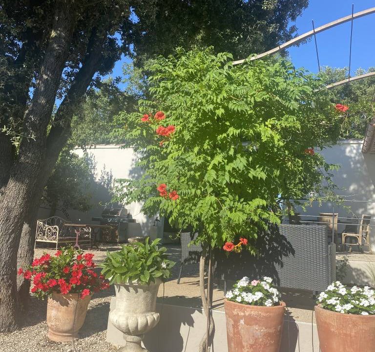 Photo of Others in Cabrieres-d'Avignon