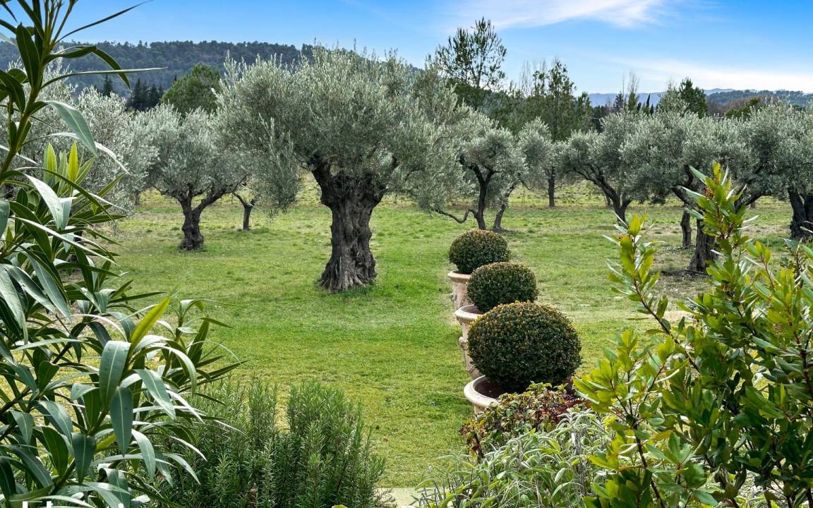 Photo of Others in Lourmarin