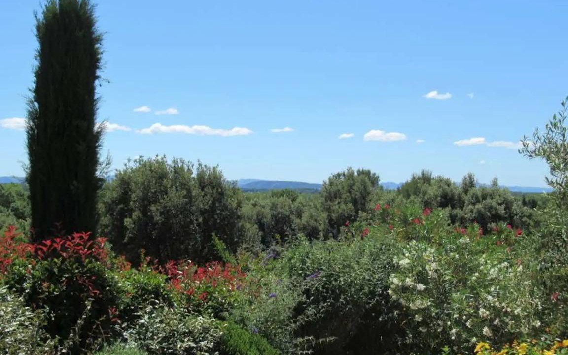 Photo of Others in Saumane-de-Vaucluse
