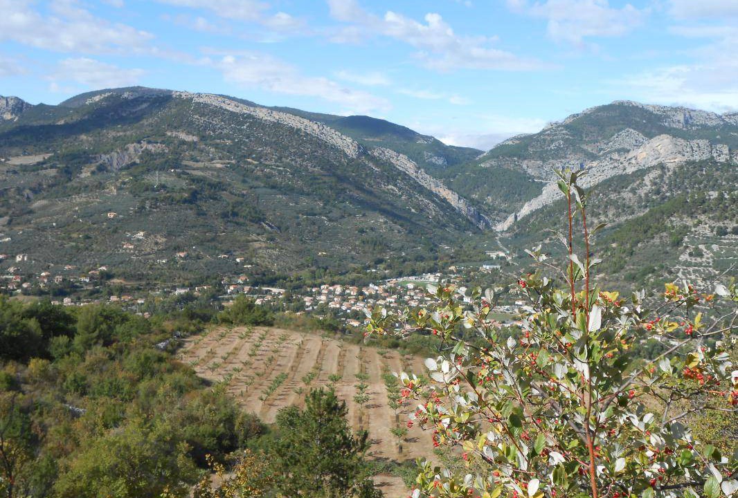 Photo of Others in Buis-les-Baronnies