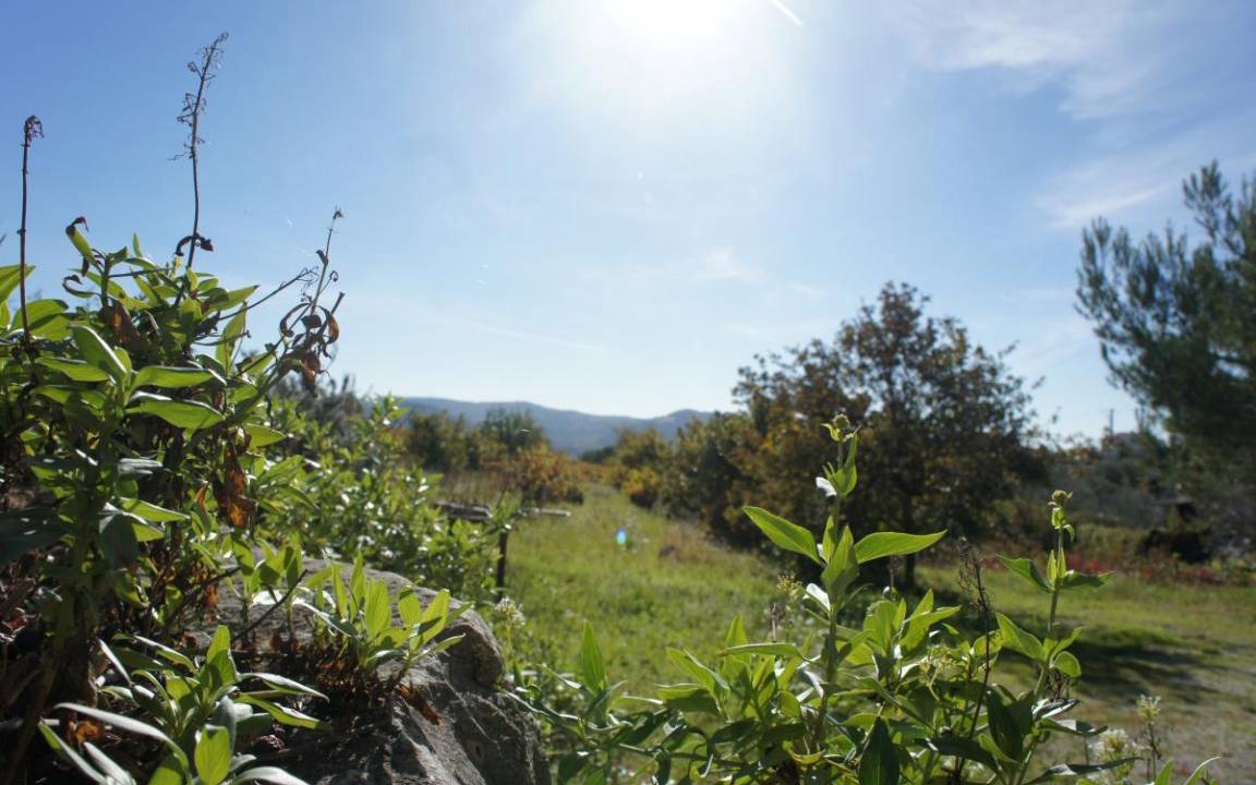 Photo of Others in Vinsobres