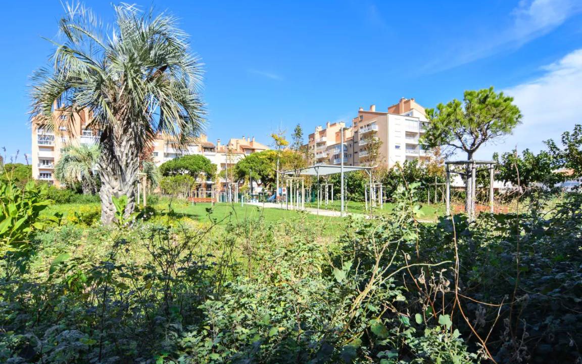 Photo of Others in Toulon - Hyeres