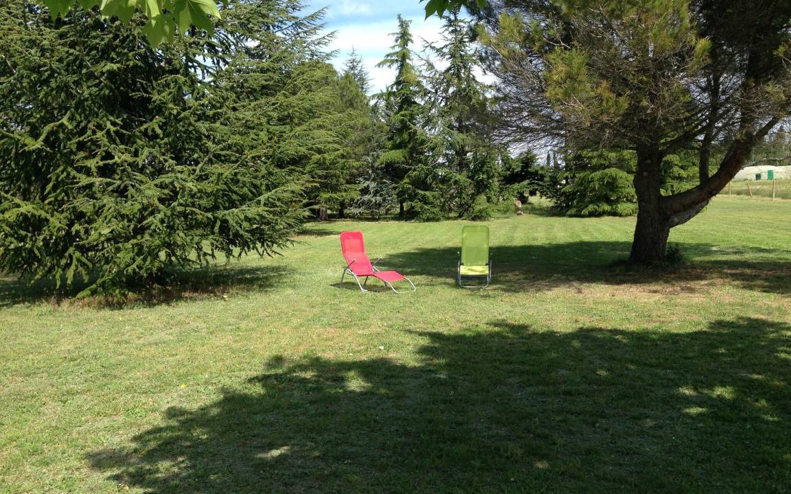 Photo of Others in Arles