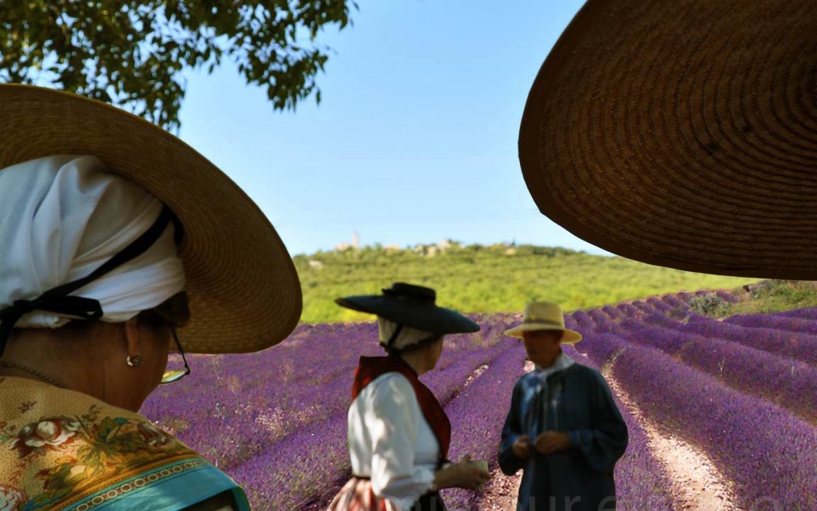 Photo of Others in Baudinard-sur-Verdon