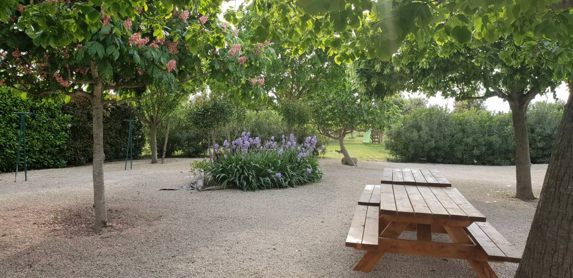 Photo of Others in Beaucaire