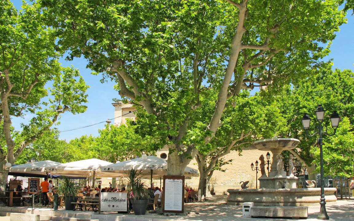 Photo of Others in Maussane