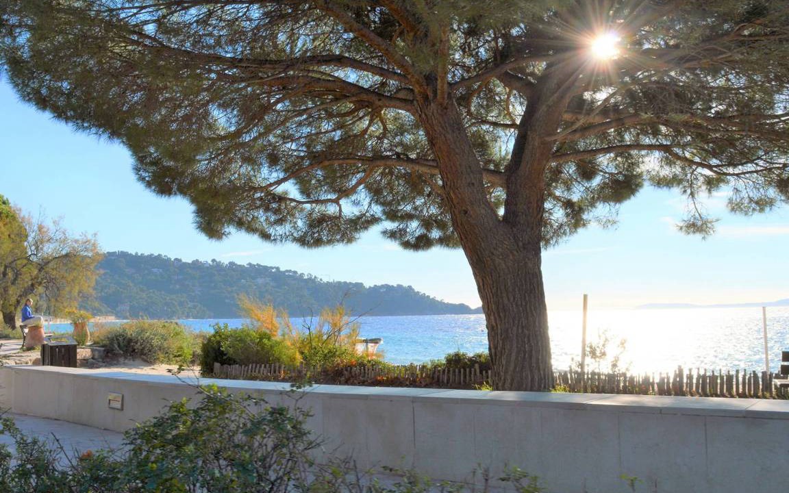 Photo of Others in Cavaliere Beach