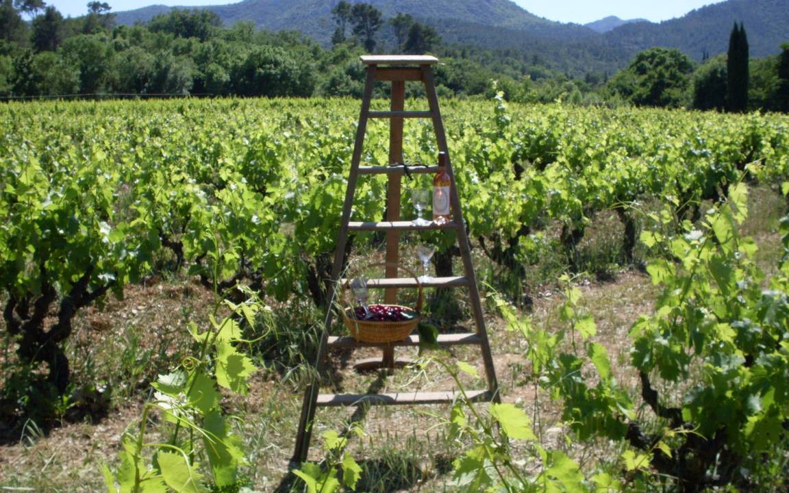 Photo of Others in Brignoles