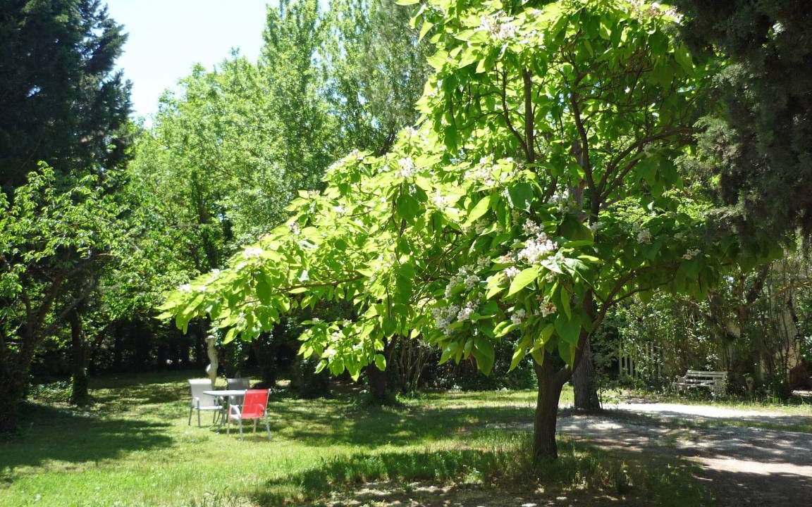 Photo of Others in Noves
