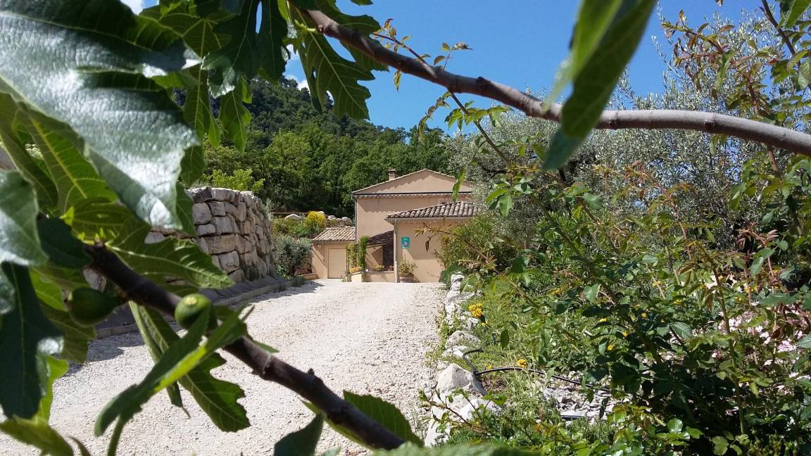 Photo of Others in Buis-les-Baronnies