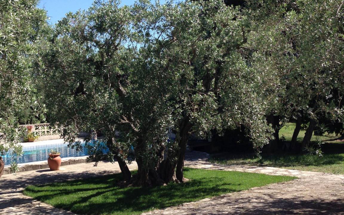 Photo of Outdoor in Arles