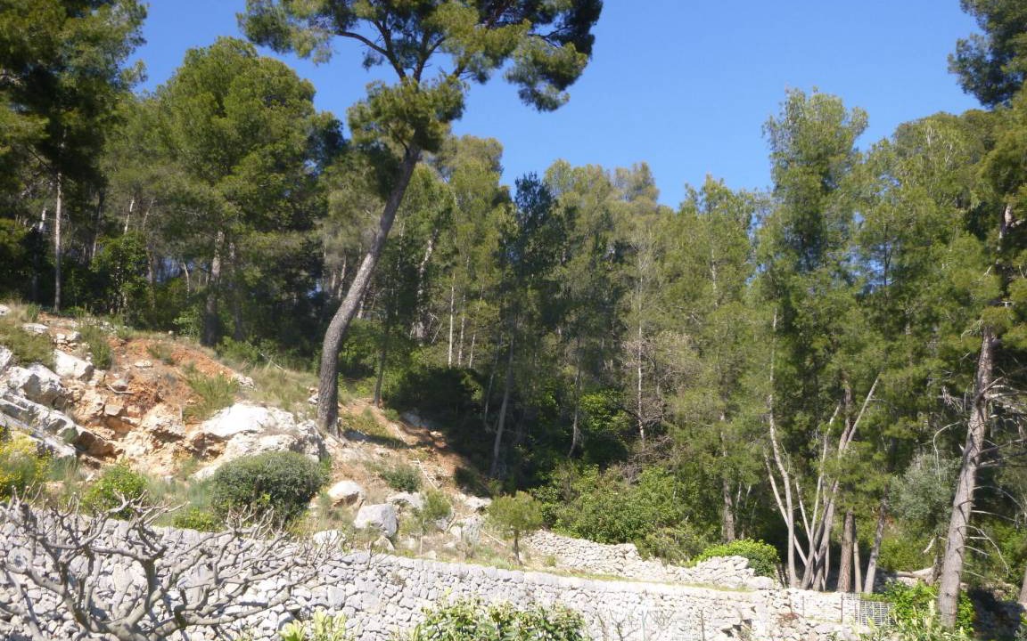 Photo of Others in La Valette-du-Var