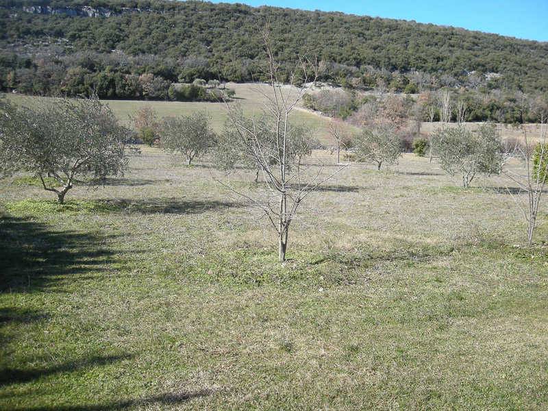 Photo of Others in Simiane-la-Rotonde