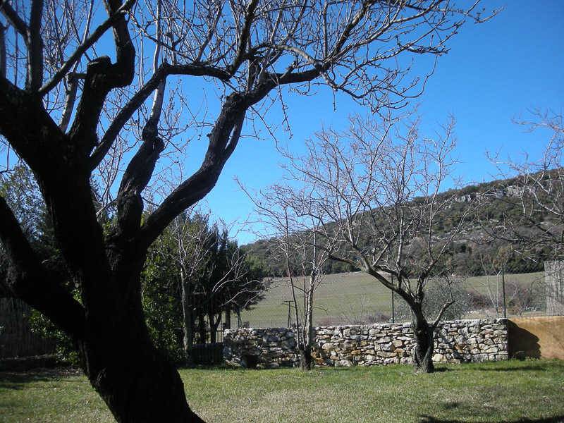 Photo of Others in Simiane-la-Rotonde