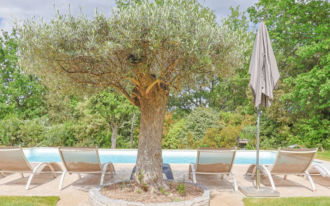 Photo of Others in Meyrargues