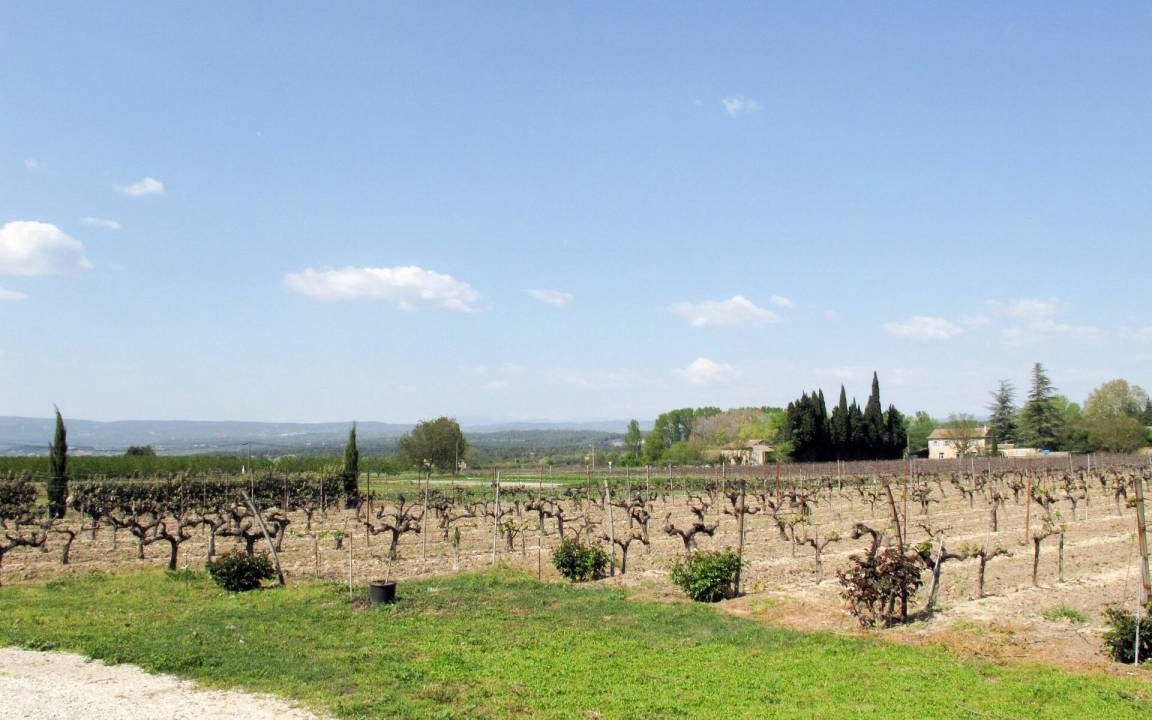 Photo of Others in Menerbes