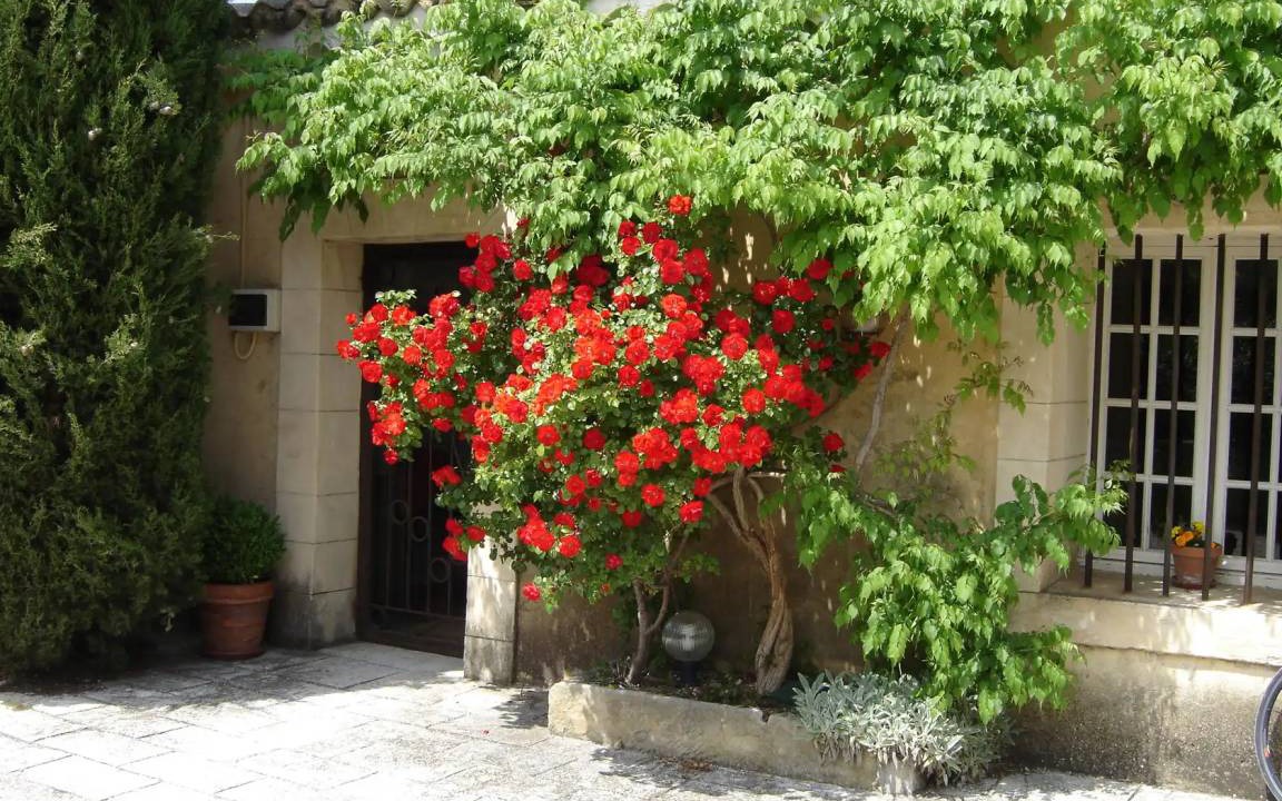 Photo of Buildings in Carpentras