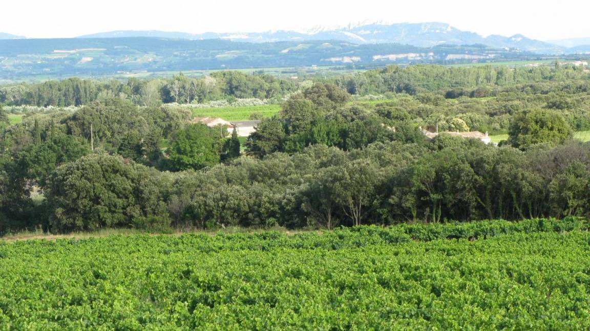 Photo of Others in La Baume-de-Transit