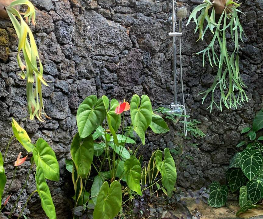 Photo of Others in Kubutambahan