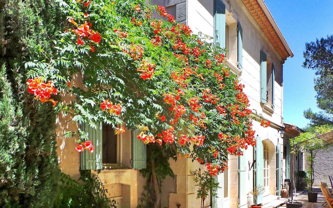 Photo of Others in St.-Remy-de-Provence
