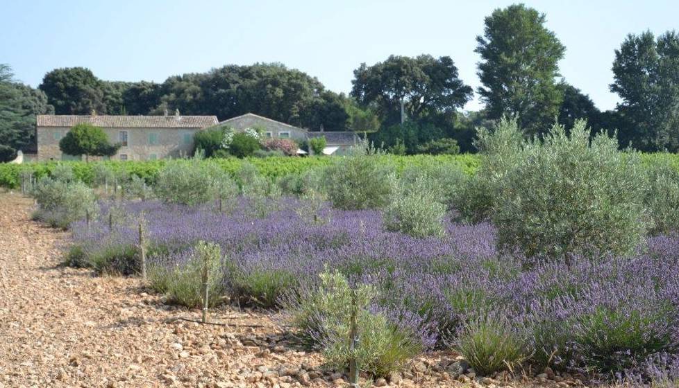 Photo of Others in La Baume-de-Transit