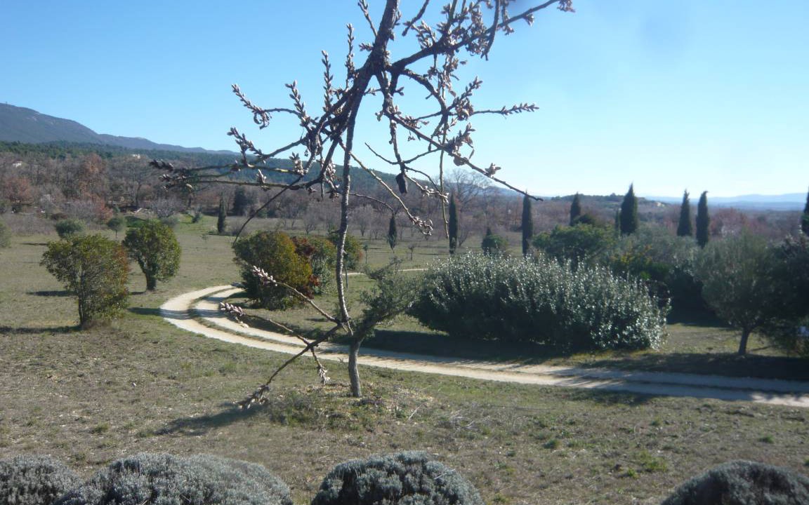 Photo of Others in Cucuron