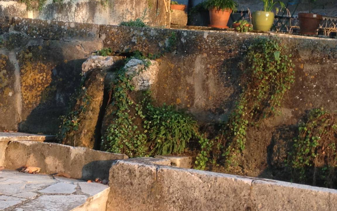 Photo of Others in Brignoles