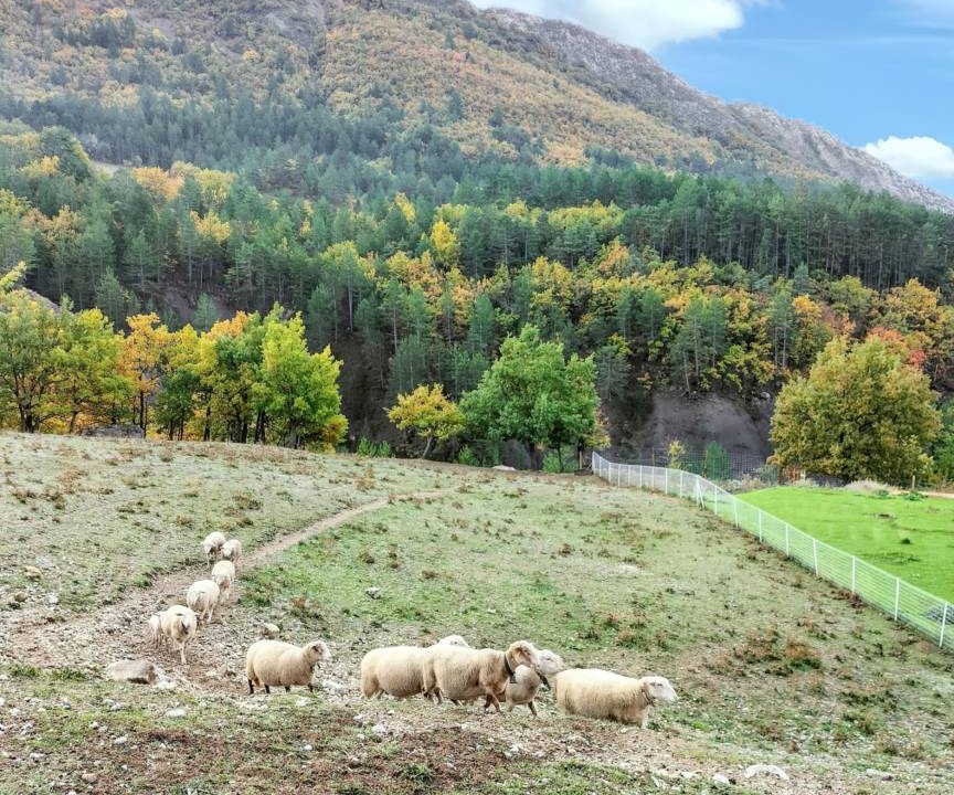 Photo of Others in Sisteron