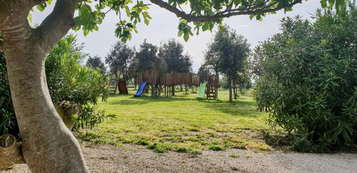 Photo of Others in Beaucaire