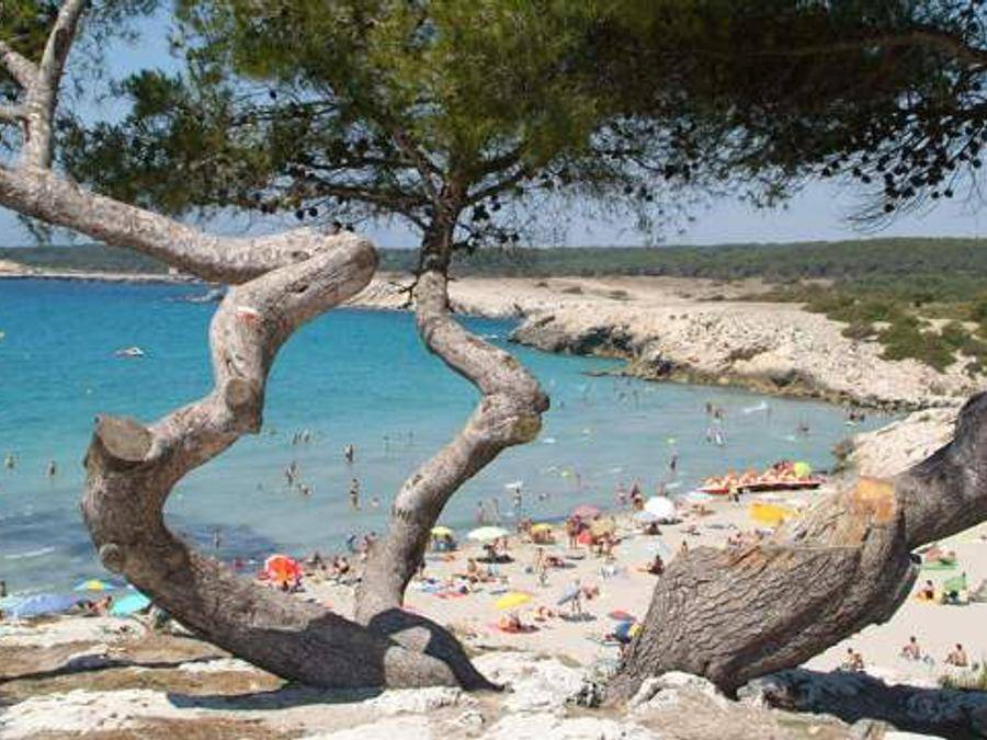 Photo of Others in Martigues