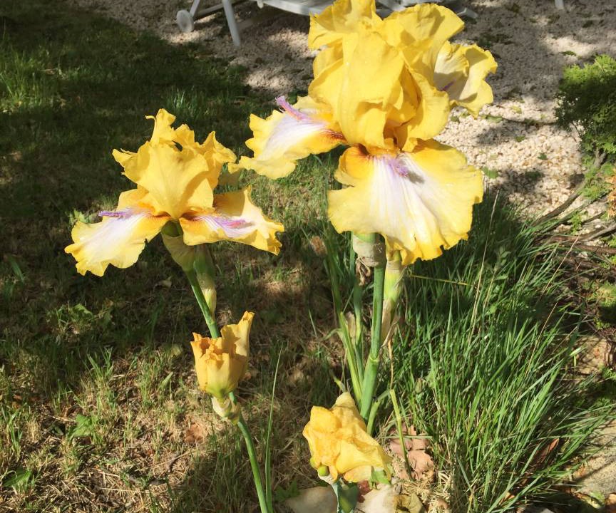 Photo of Others in Brignoles