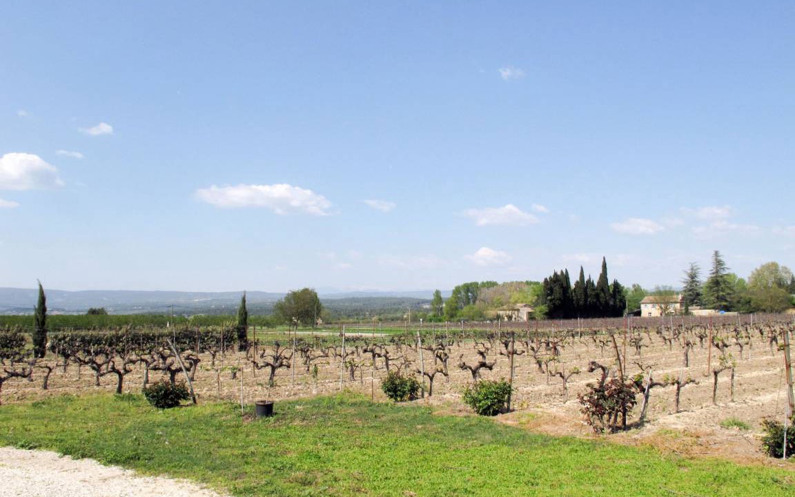 Photo of Others in Menerbes