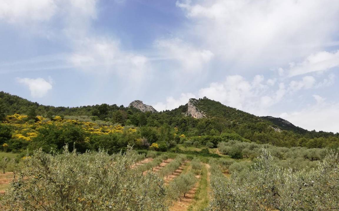 Photo of Others in Buis-les-Baronnies
