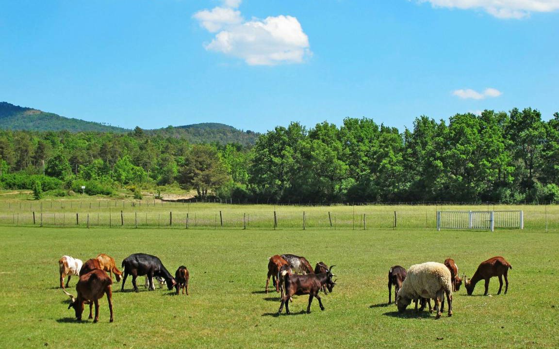 Photo of Others in Bauduen
